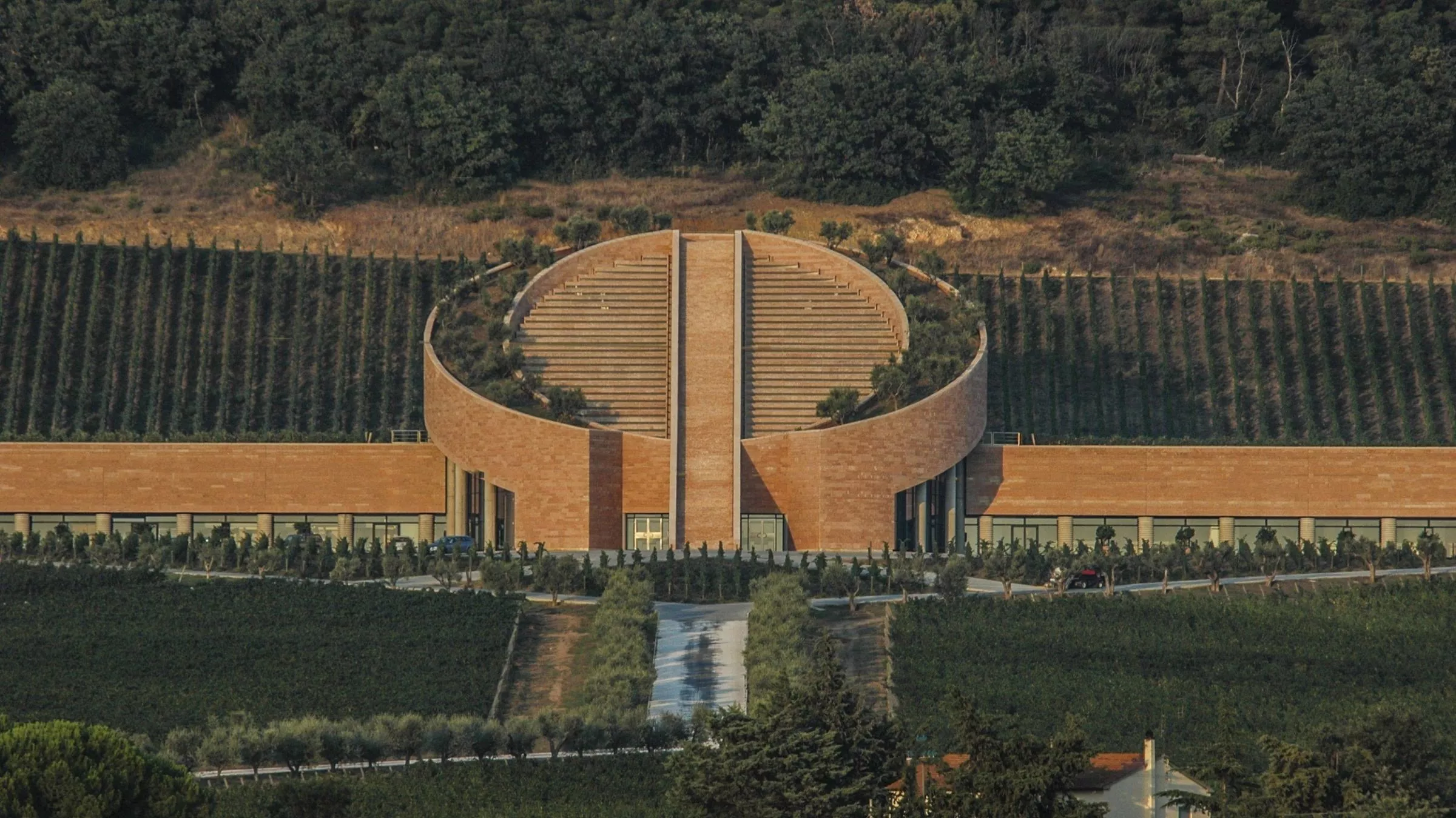 Die Fassade des Kellers von Petra hebt sich sanft von den umliegenden Weinbergen ab. Das Dach wirkt, als würden die Trauben vom Himmel direkt in die Fässer kullern...