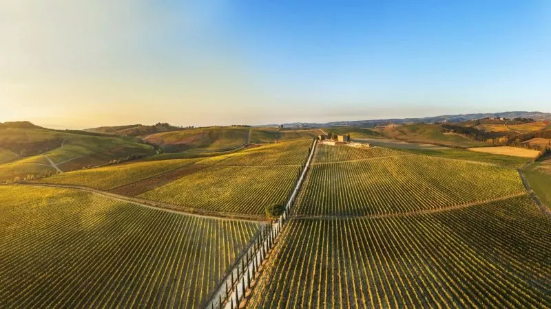 Weinberge im Chianti © Guido Cozzi