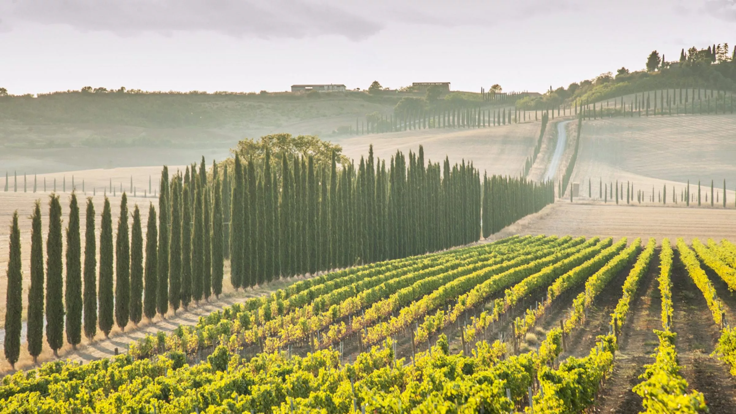 … in die umliegenden Weinberge des Chianti