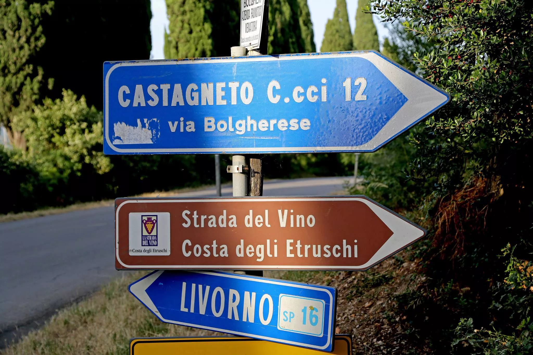 Die Strada del Vino folgt den Weingütern und Olivenhainen der Toskana, immer in Nähe des Tyrrhenischen Meeres