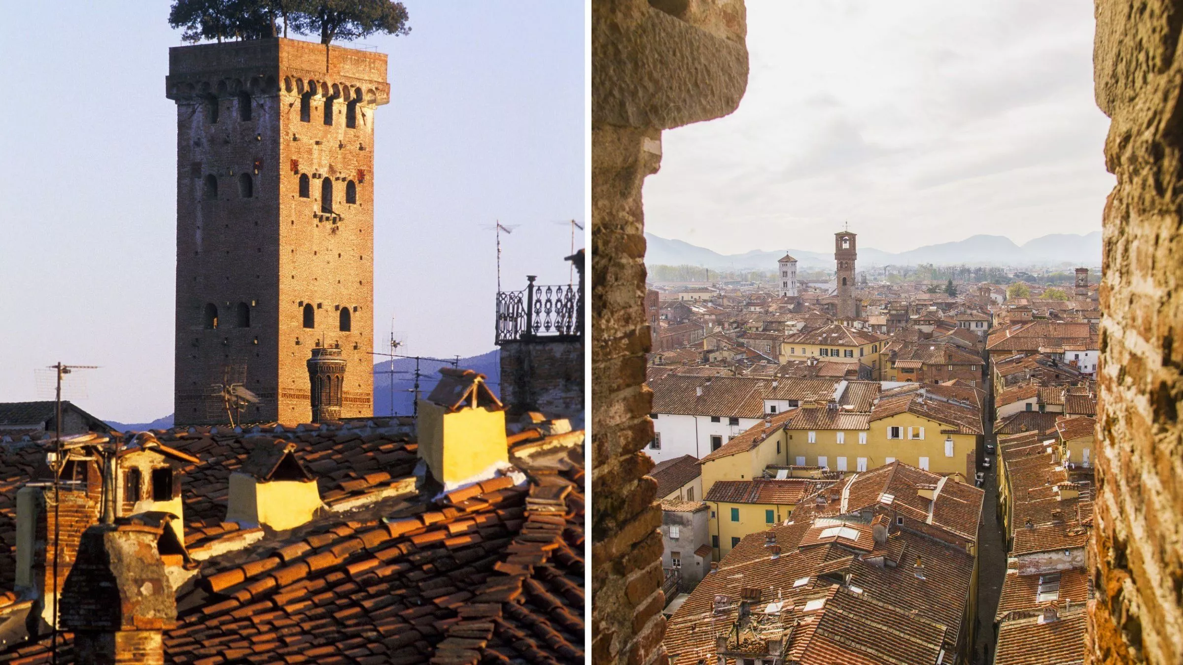 Der Torre Guinigi ist das Wahrzeichen von Lucca – und bietet einen wunderbaren Blick über die Stadt