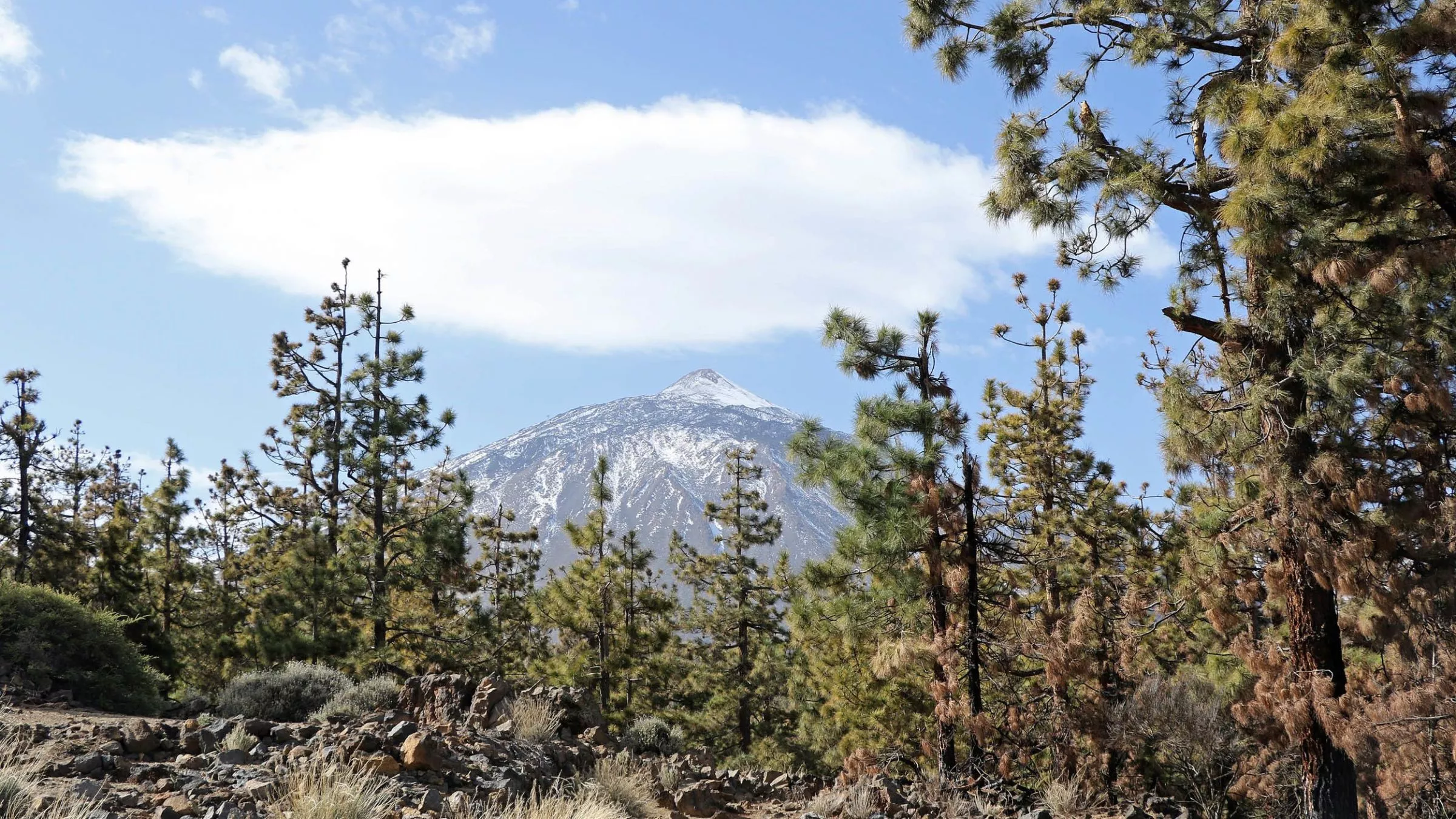 Zwischen Puerto de la Cruz und dem Teide Nationalpark