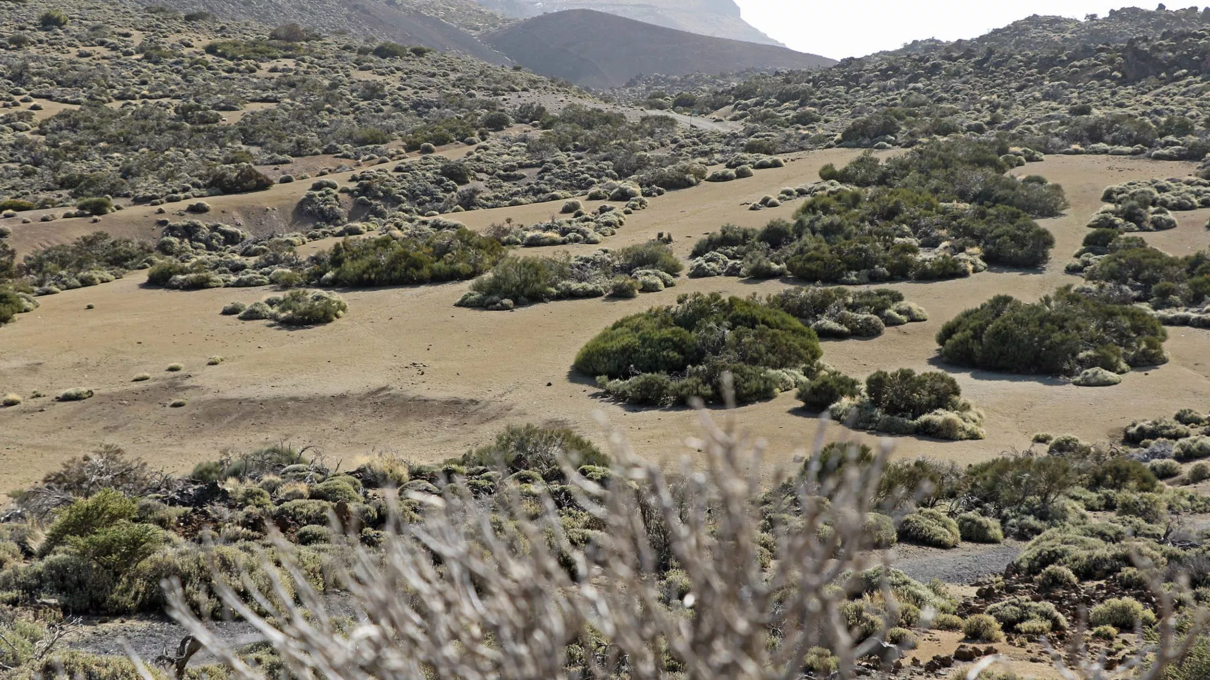 Der weit gezogene Krater, die Caldera, gehört zu den größten der Welt