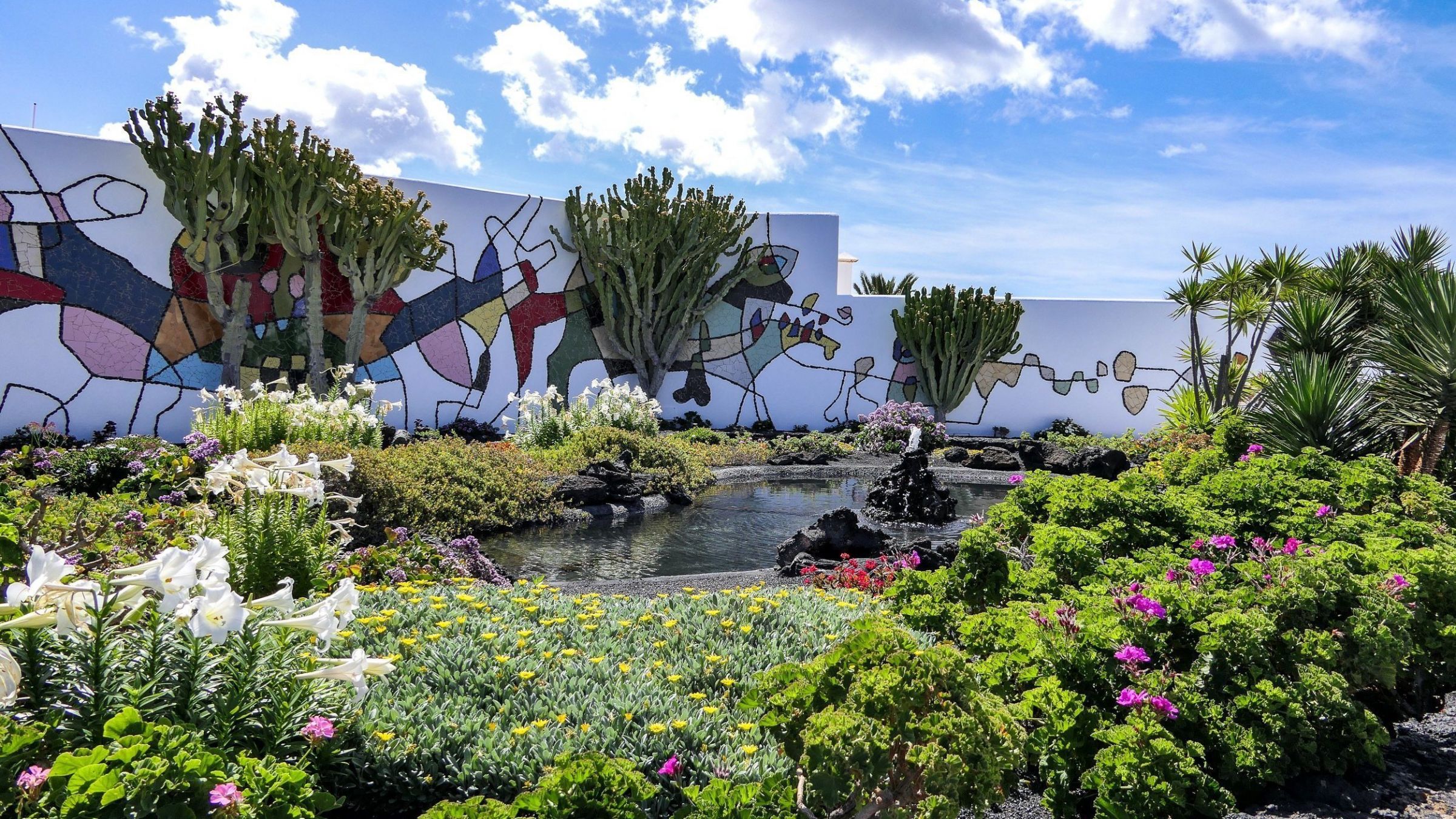Ein Garten voller Kontraste: Bemalte Windschutzmauern, blühende Pflanzen und schwarze Vulkanerde