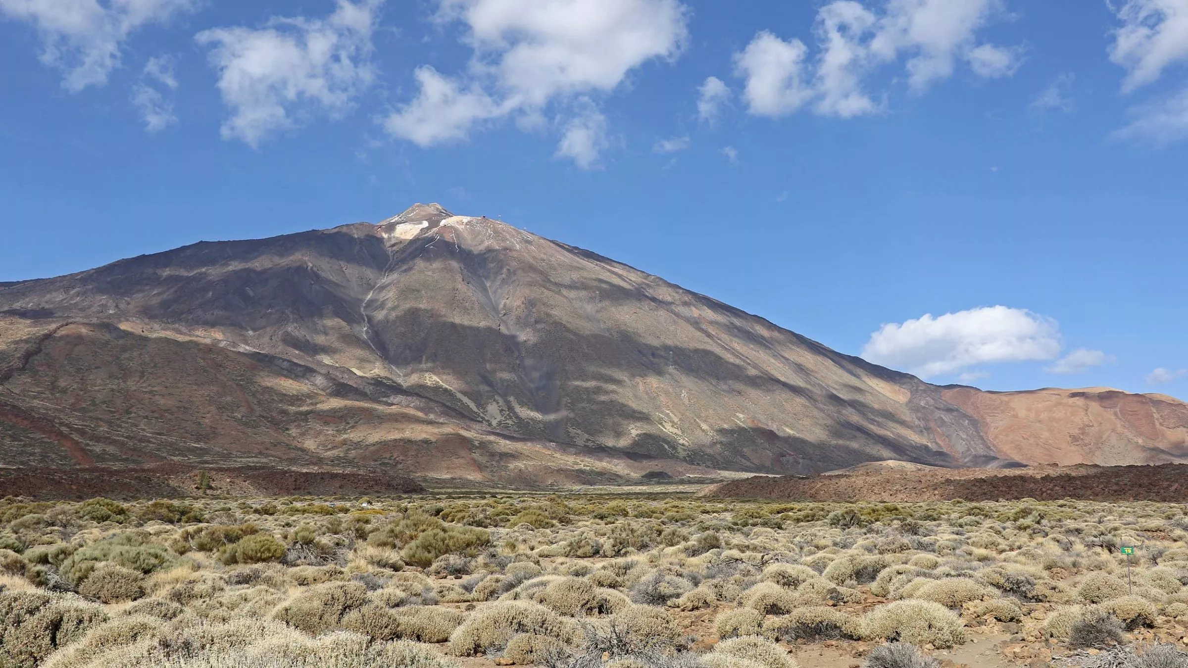 … denn in der Wüste rund um den Teide sind mehrere Dutzend Pflanzenarten zu Hause