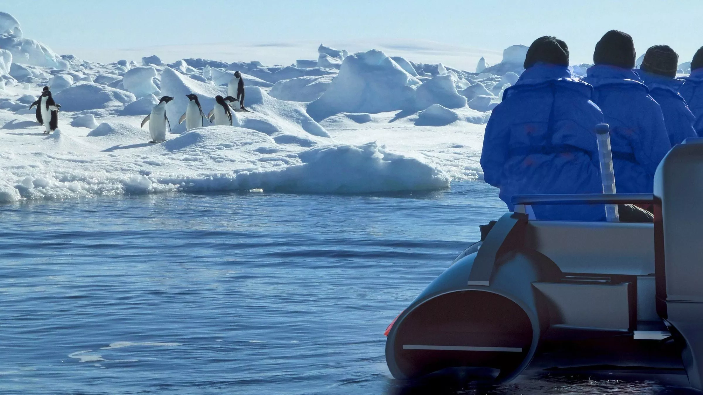 So nah wie bei dieser Exkursion kommen Urlauber den Kaiserpinguinen in der Antarktis nur selten…