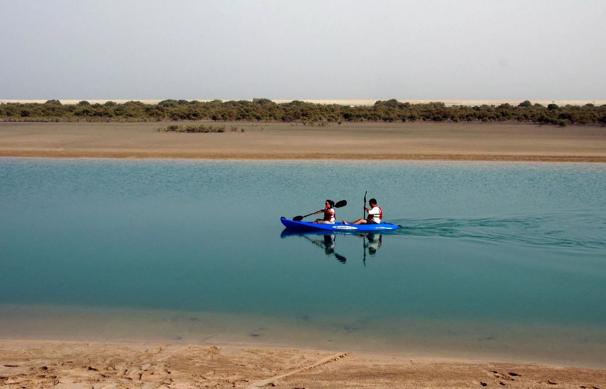 Kilometerlanges Netz aus Wasserwegen: auf Kajak-Tour zwischen den Mangroven von Sir Bani Yas