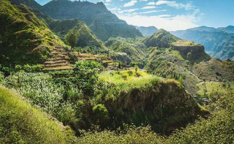 An den steilen Hängen auf Santo Antao sind Bananen- und Zuckerrohr-Plantagen angelegt