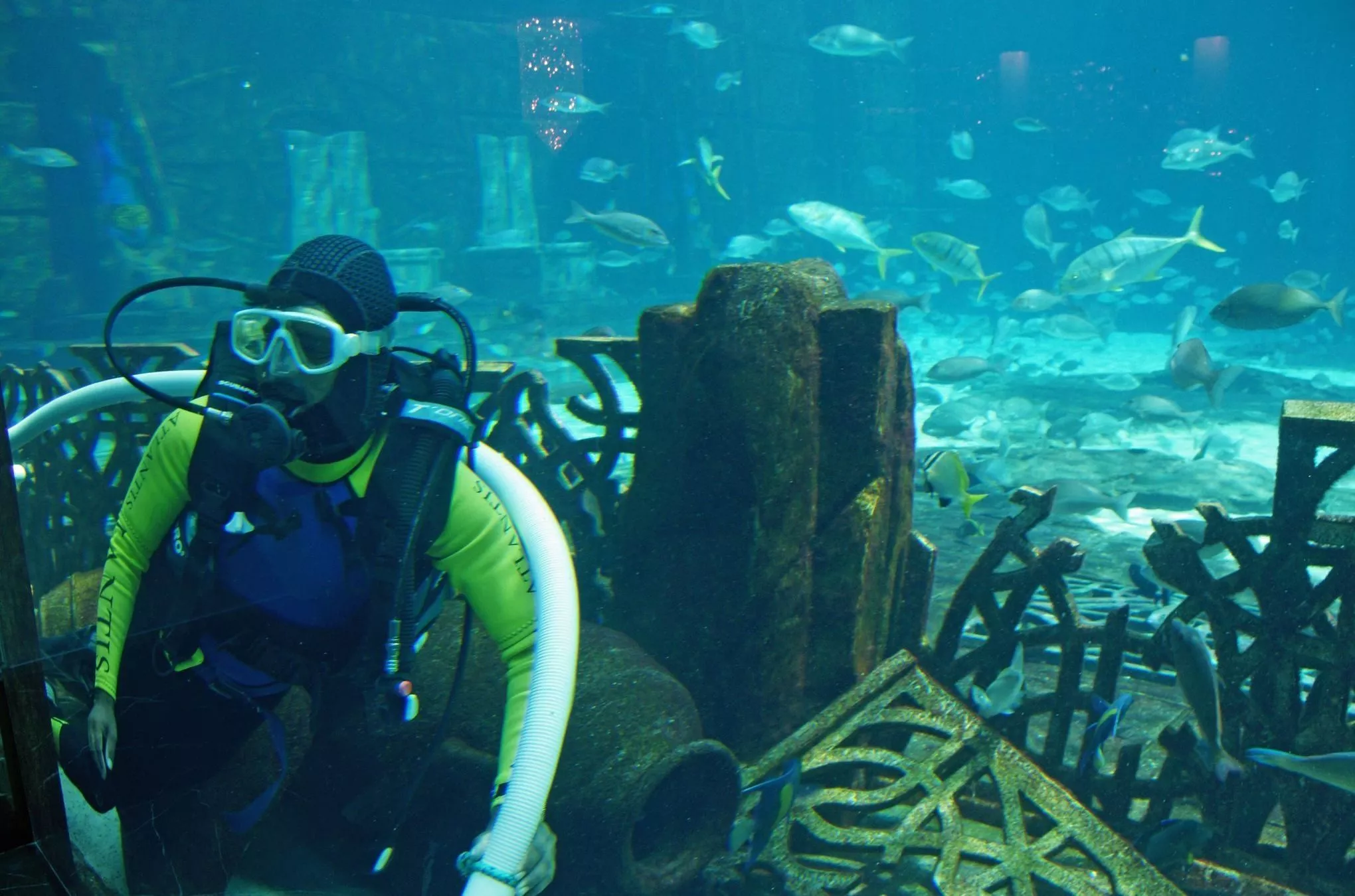 Im Elf-Millionen-Liter-Aquarium unterwegs, um die Scheiben von der Wasserseite aus zu reinigen: Taucher im „Atlantis The Palm” in Dubai
