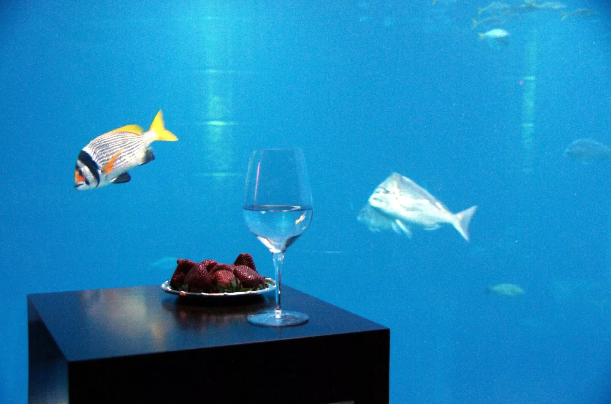 Snack auf dem Trockenen: Tischchen am Schlafzimmerfenster der Unterwasser-Suite im „Atlantis The Palm” in Dubai