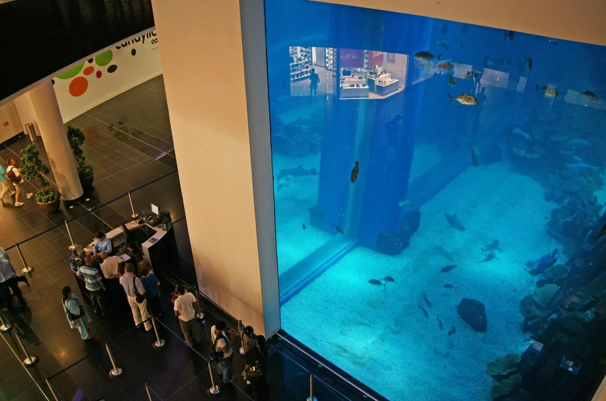 Die Scheiben sind 75 Zentimeter dick: Das „Dubai Aquarium“ lockt zusätzliche Besucher in die „Dubai Mall“