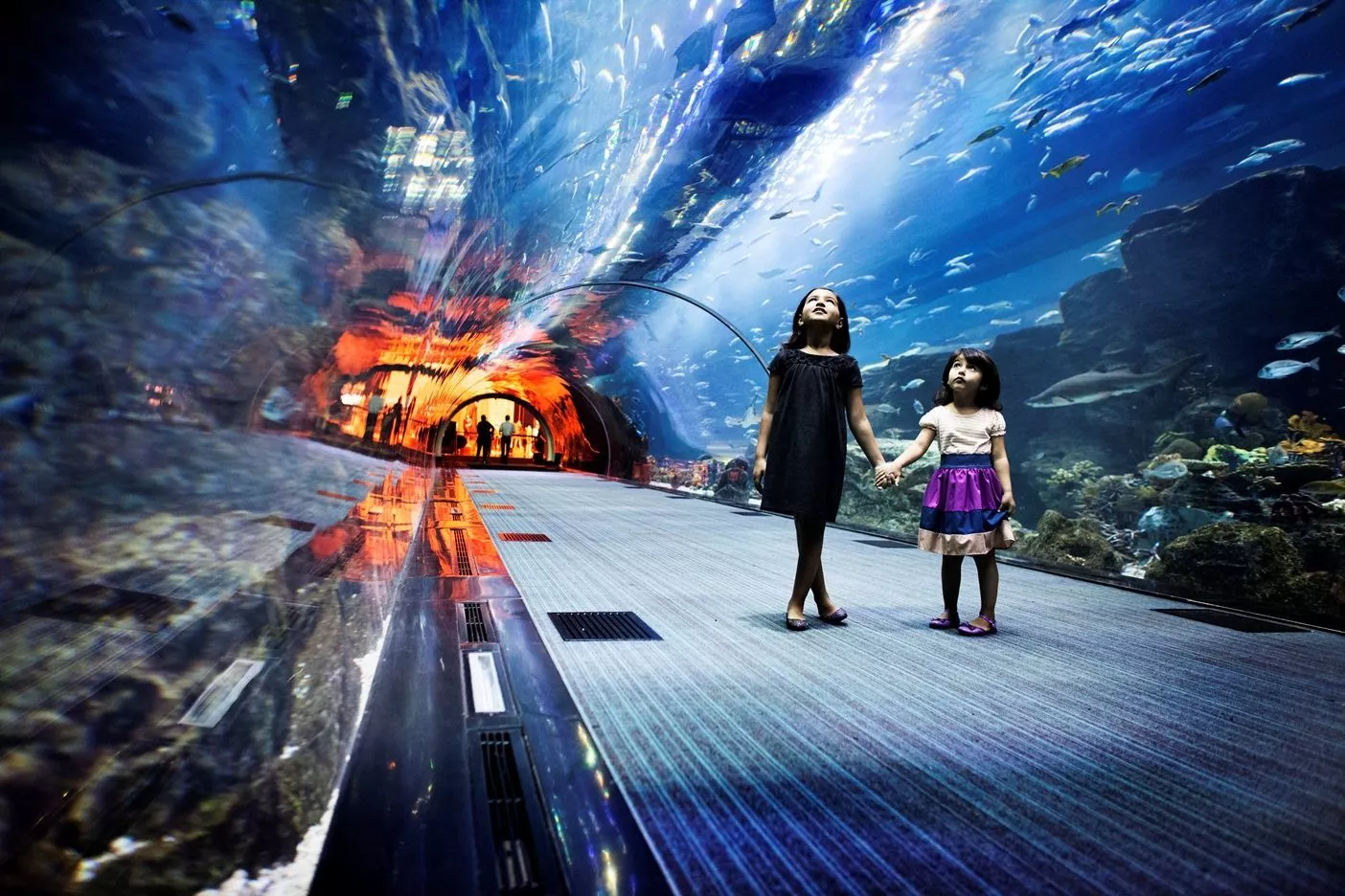 Zehn Millionen Liter Wasser und 33.000 Meeresbewohner über dem Kopf: Ein verglaster Tunnel führt durch das „Dubai Aquarium“ im Mega-Einkaufszentrum „Dubai Mall“