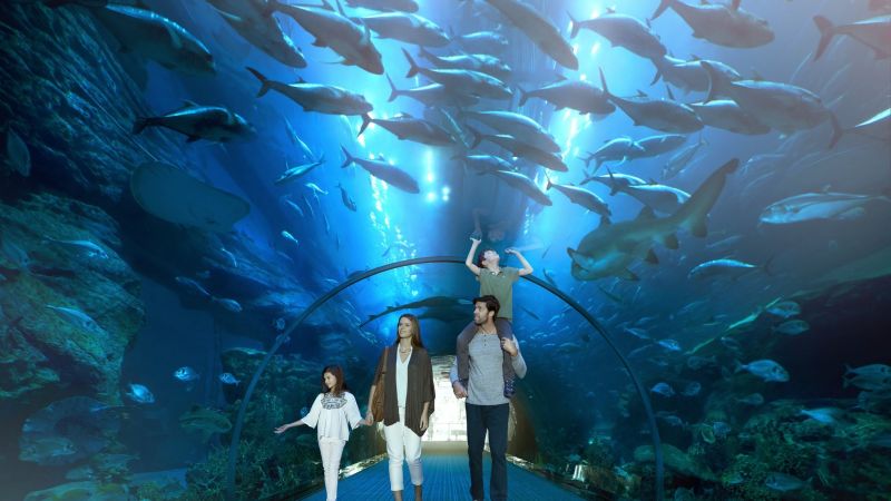 Familiengruppe geht durch einen gläsernen Unterwassertunnel eines Aquariums, umgeben von Fischen während der Dubai-Reise.
