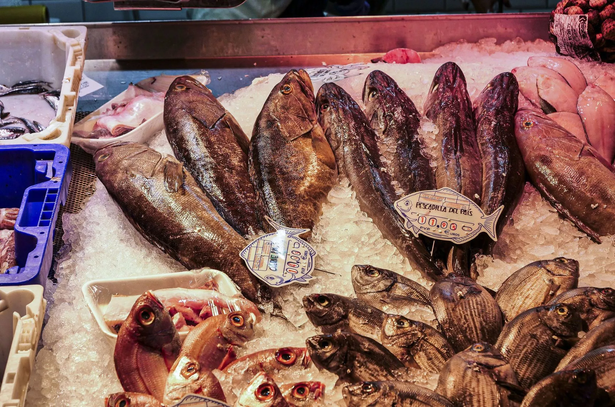 Den frischesten Fisch gibt es im Mercado del Puerto, der alten Markthalle am Hafen