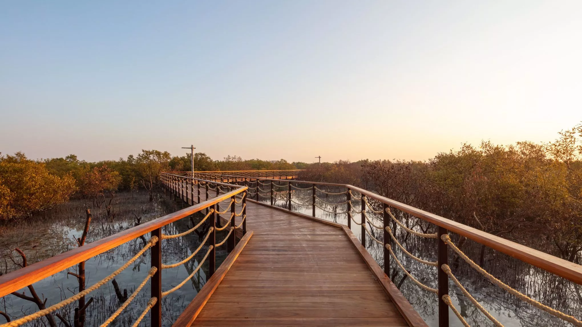 Holzbohlensteg durch den Mangrovenpark in Abu Dhabi