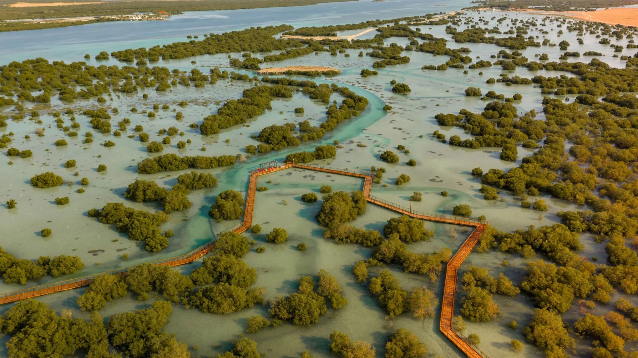 Holzbohlensteg durch den Mangrovenpark in Abu Dhabi