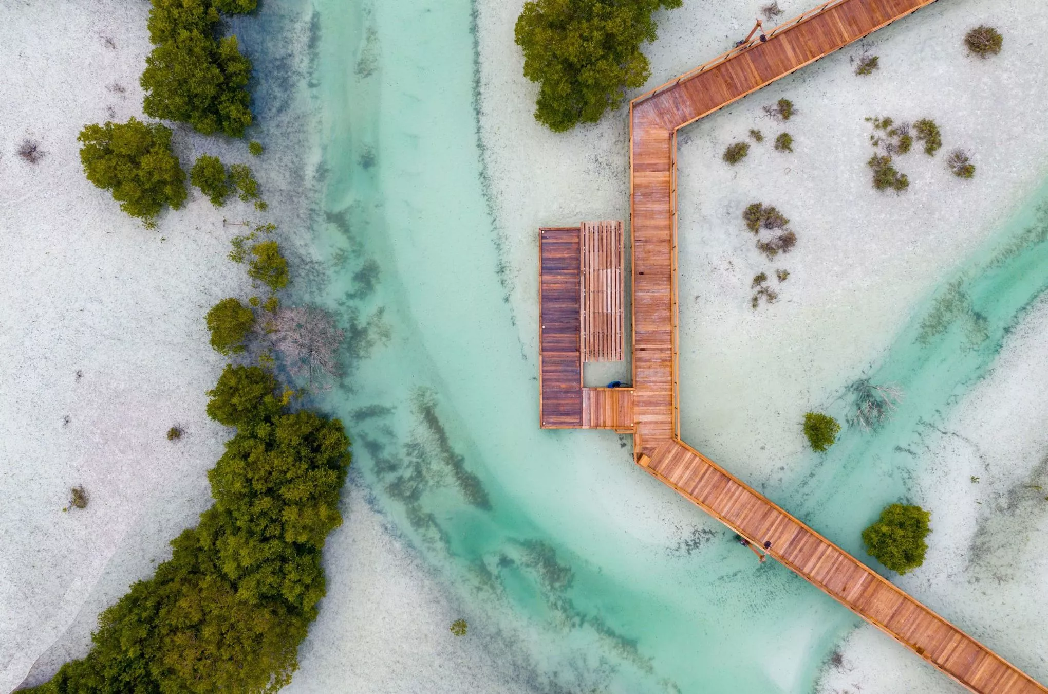 Holzbohlensteg durch den Mangrovenpark in Abu Dhabi