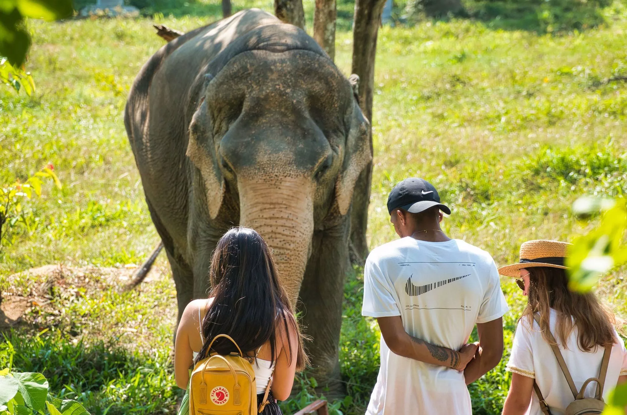 Von Scheu keine Spur: Elefantendame Kannika geht auf Tuchfühlung mit den Besuchern