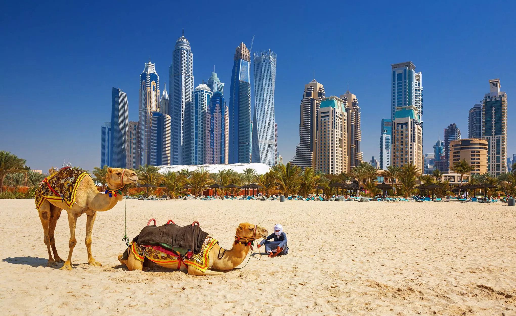 Nicht nur Einheimische und Urlauber entspannen am Jumreiah Beach: Auch Kamele machen hier Pause vor Dubais Skyline
