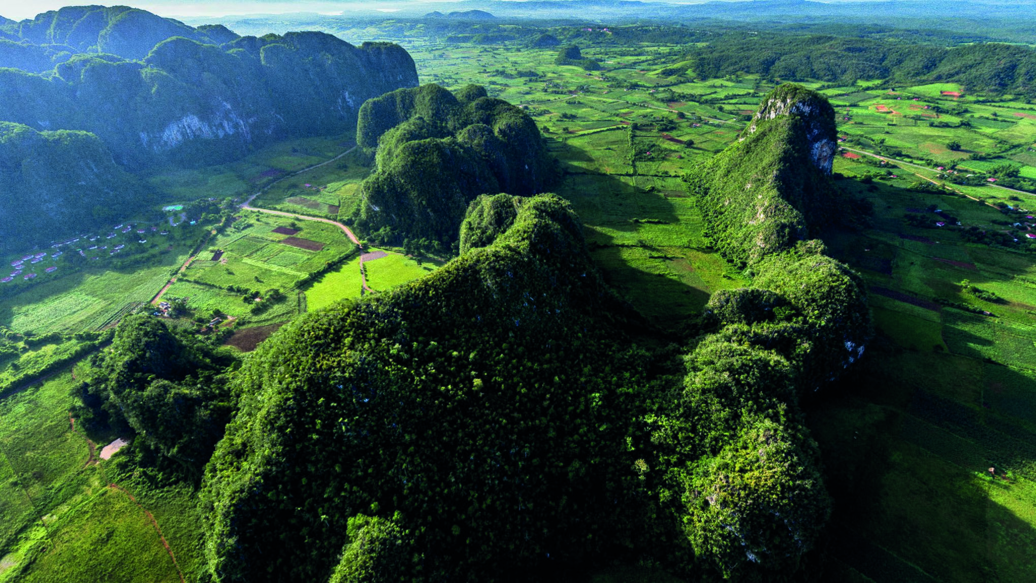 Das Viñales-Tal mit den buckeligen Kegelfelsen aus der Vogelperspektive