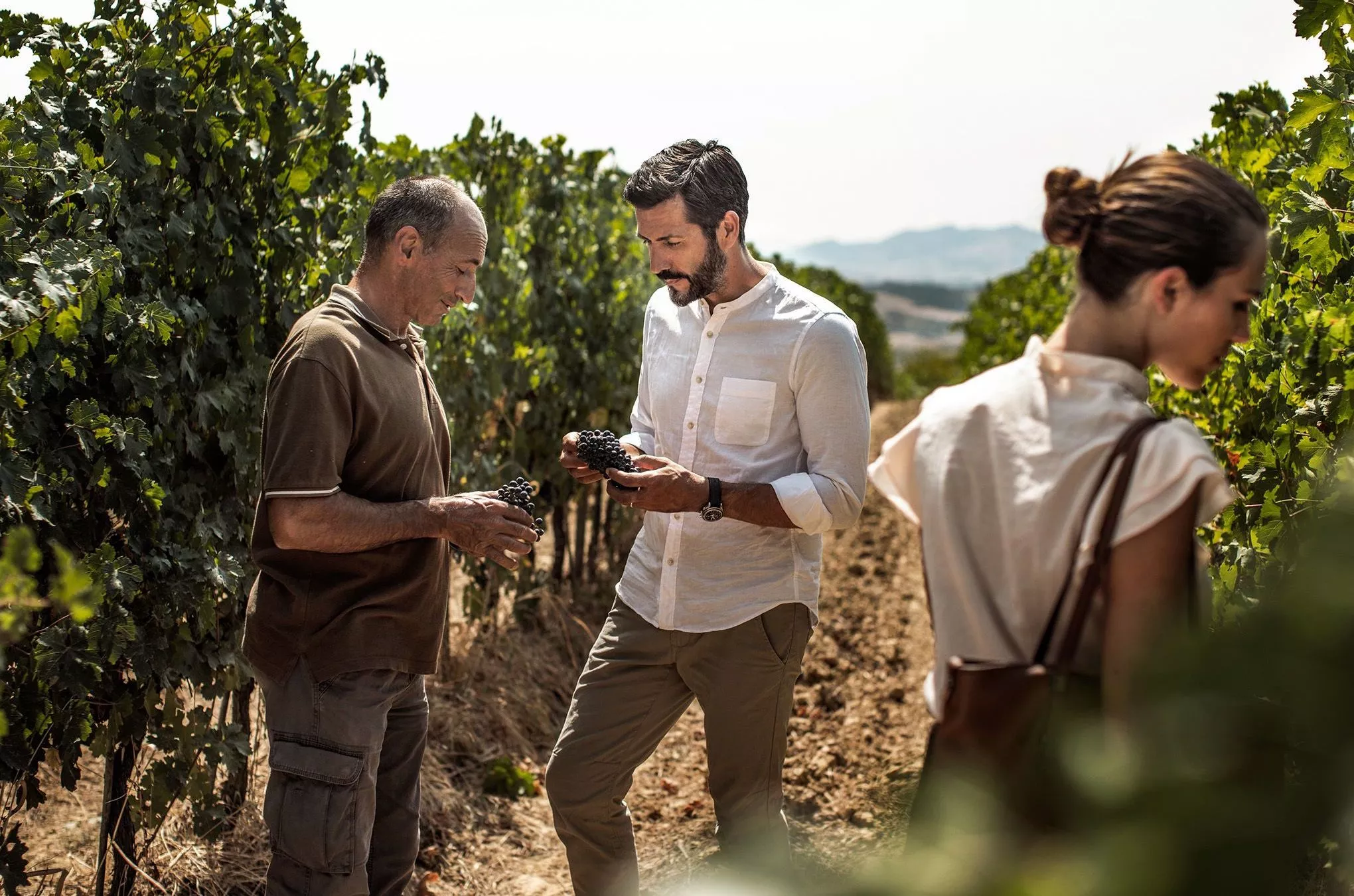 Zu Besuch in den resorteigenen Weinbergen