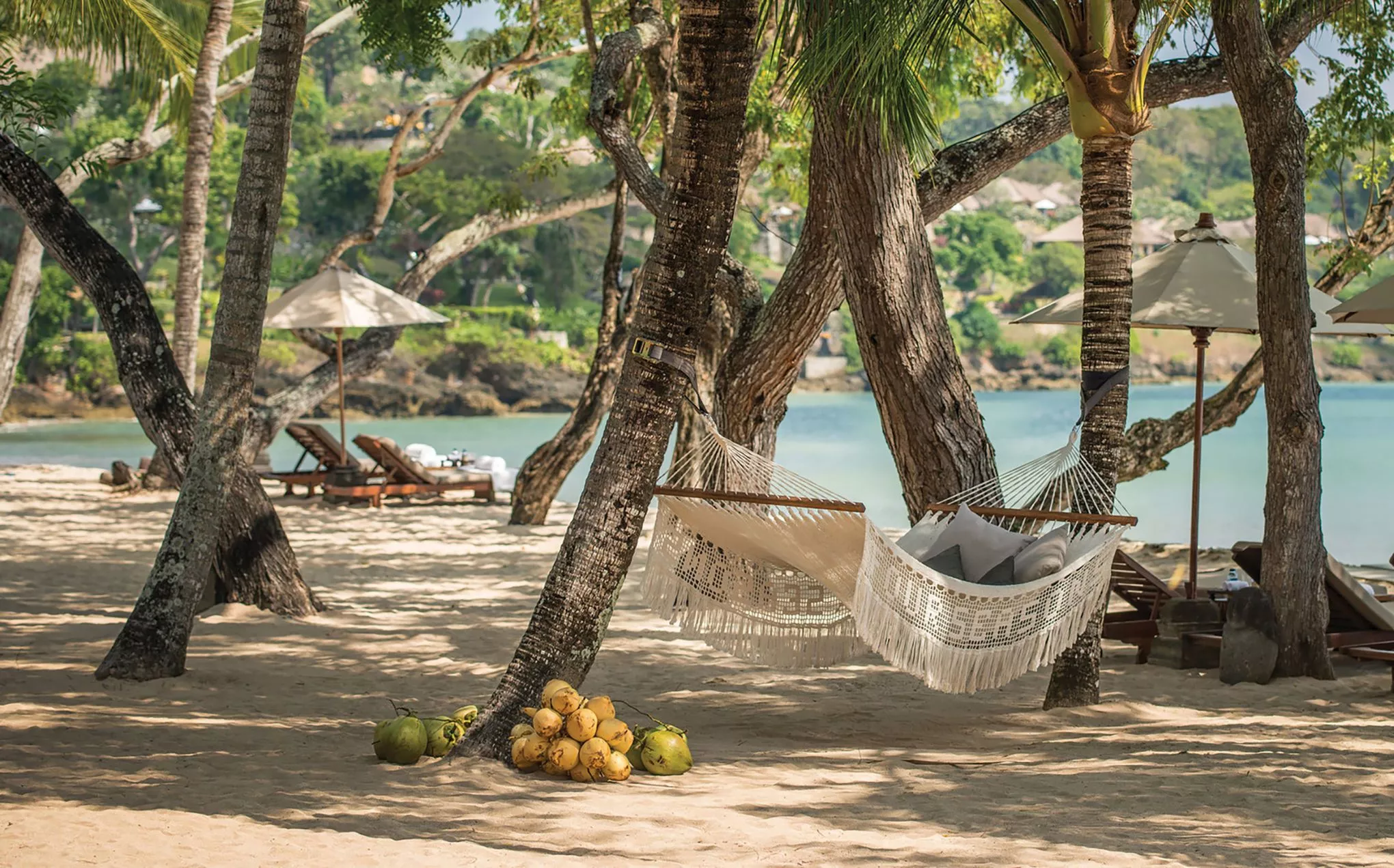 Entspannung pur in der Hängematte unter Kokospalmen