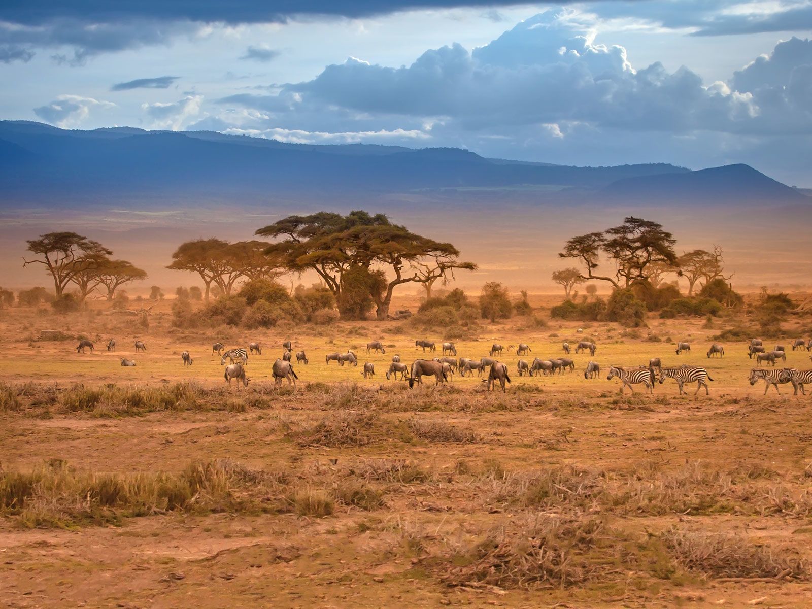 Luxus Rundreise nach Afrika airtours