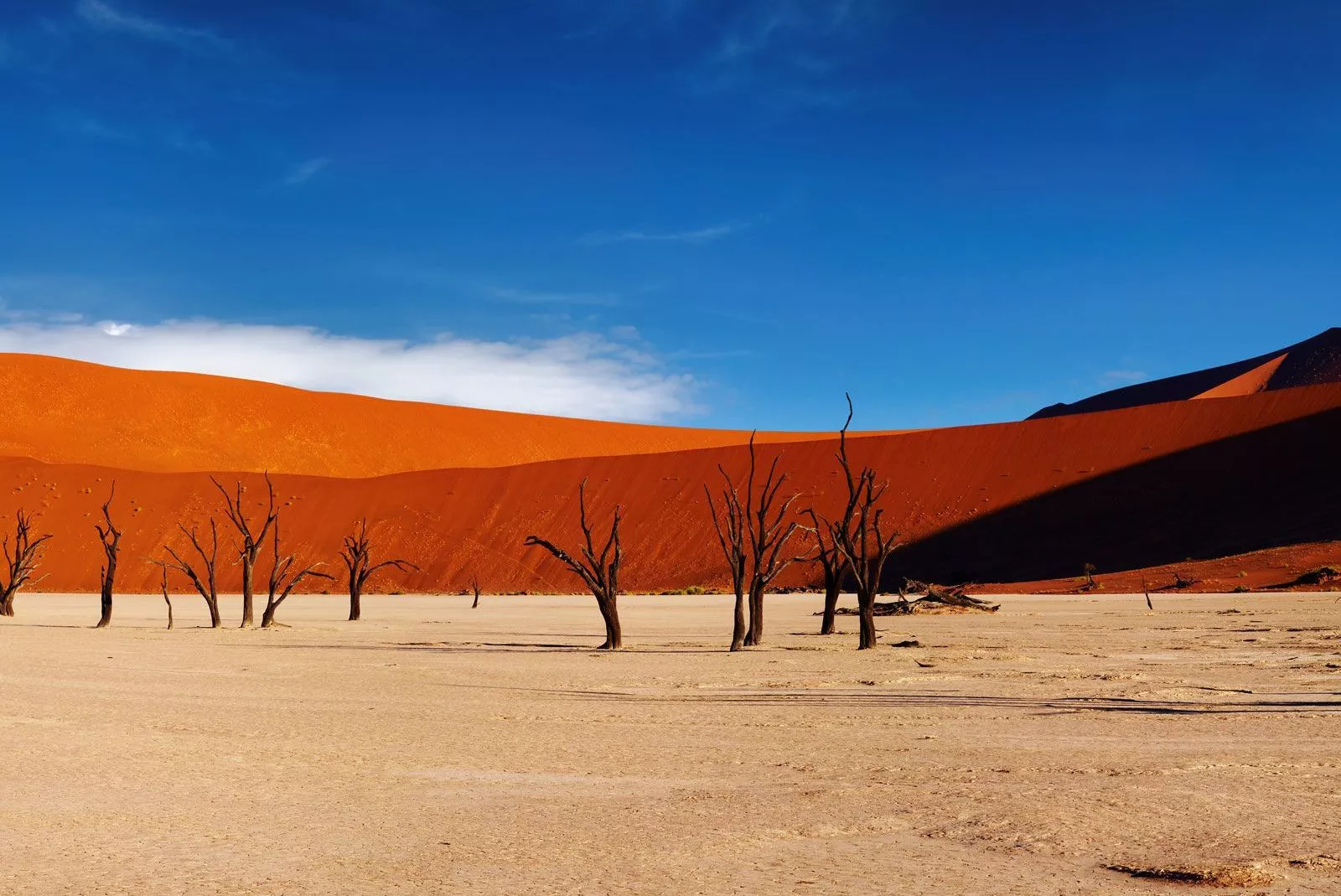 Sanddüne in Namibia