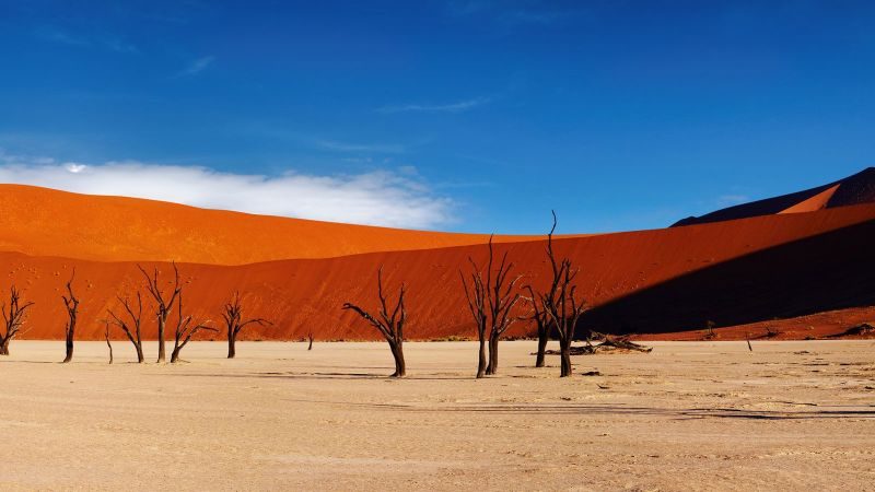 Sanddüne in Namibia