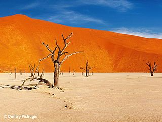 naturschauspiel namibia csm_Namibia-20-1-690x518_8c6fced0e0