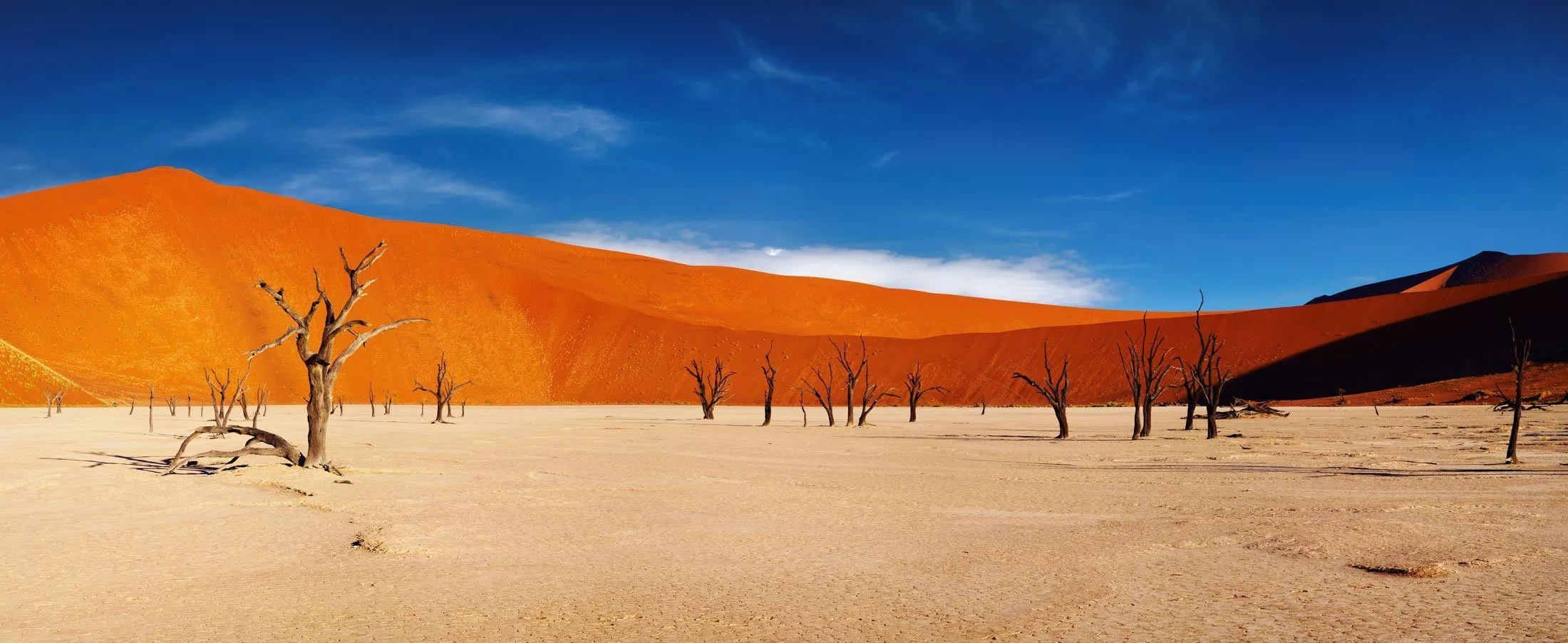 Namib-Wüste Sossusvlei: orange Dünen, verstreute, trockene Bäume auf hellem Boden vor blauem Himmel.