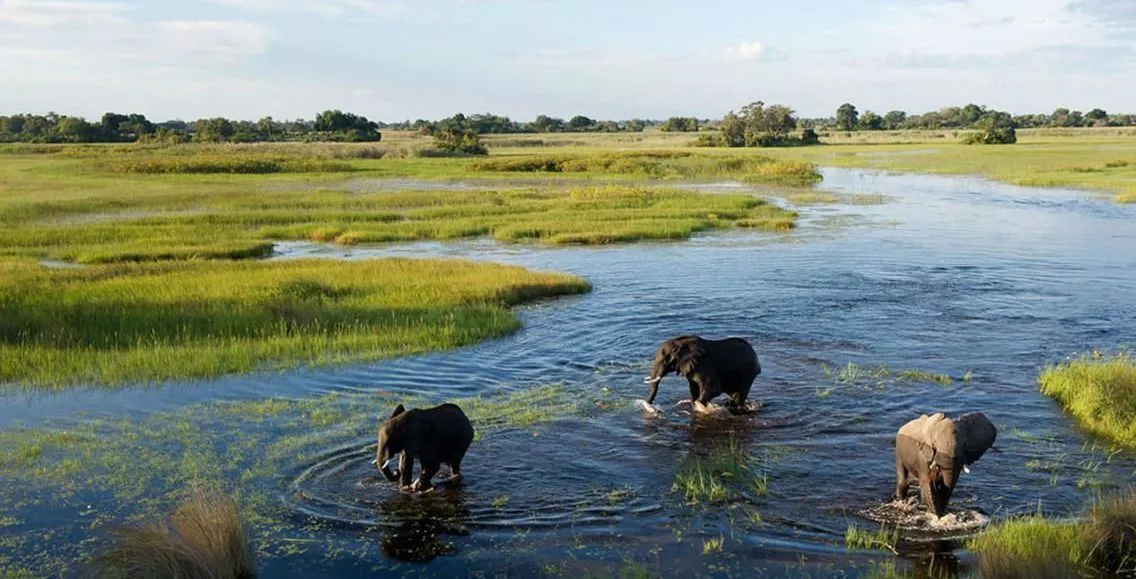 Jacana Camp Botswana Wilderness Safaris