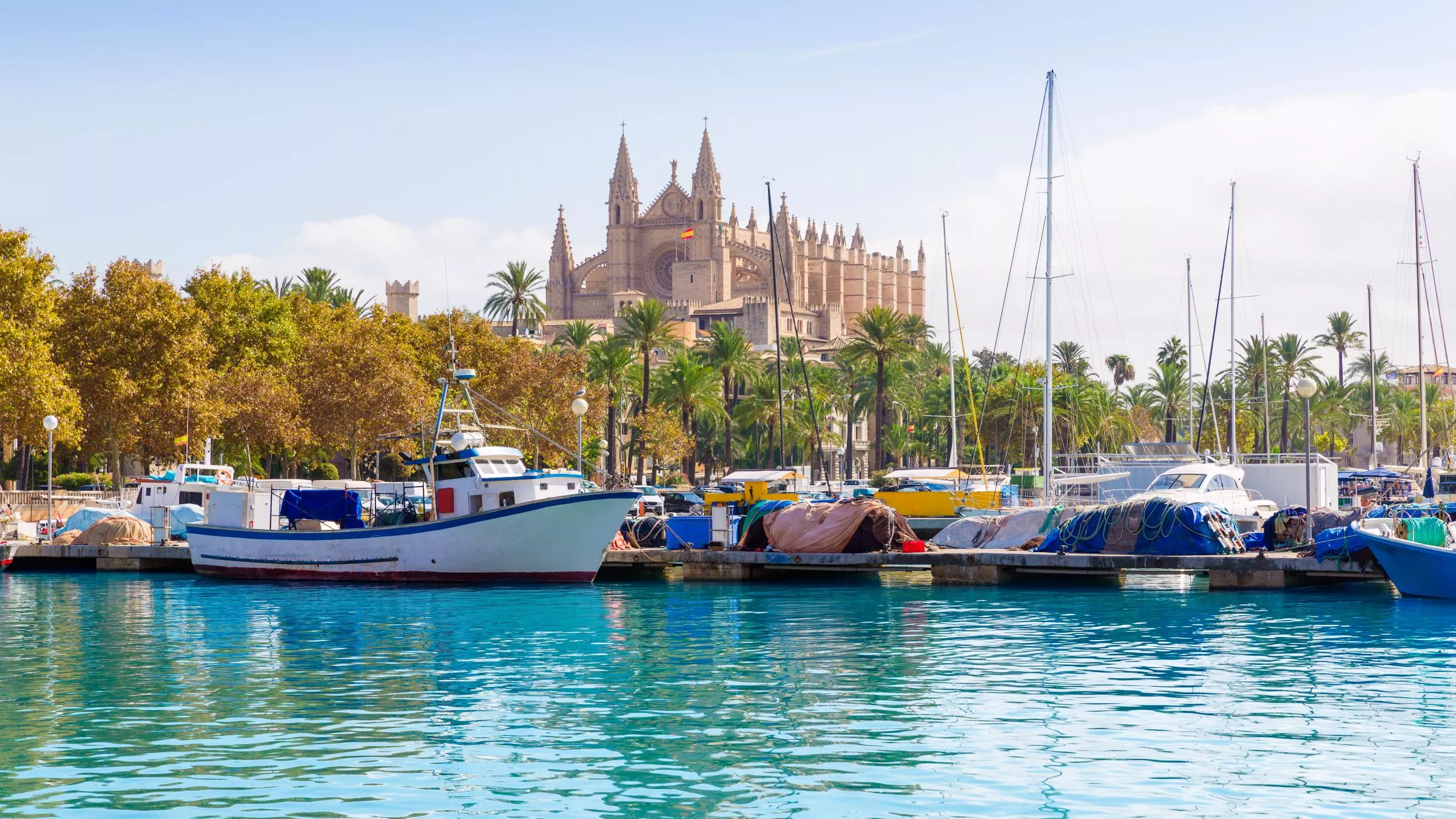 Der Port de Palma mit Blick auf die Kathedrale