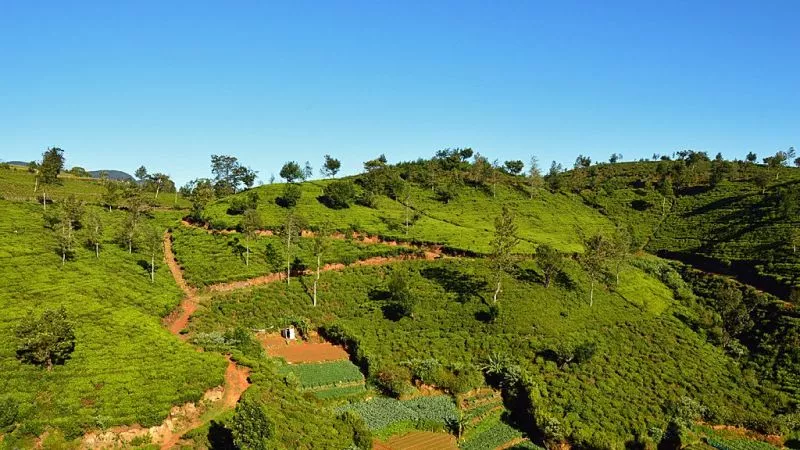 Sri Lanka, airtours Private Travel, Privatreise, Uga Escapes