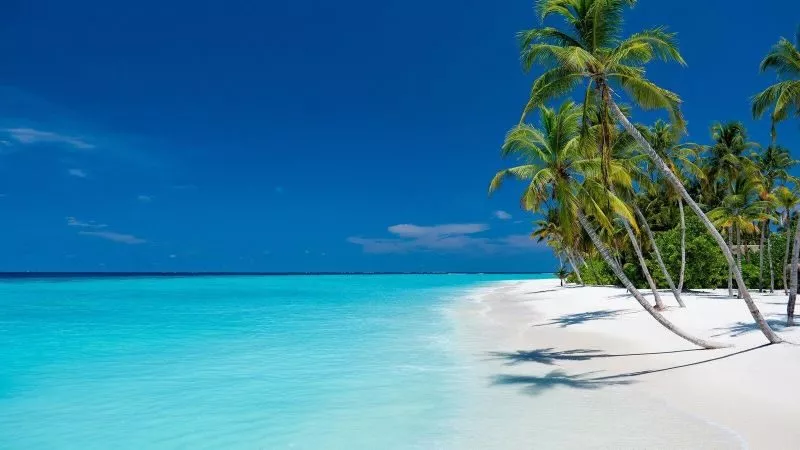 Weiße Sandstrände, türkisfarbenes Meer und Palmen am Süd Nilhandhe Malediven, Strandlandschaft im Süd-Nilandhe-Atoll.