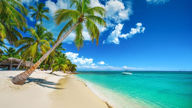Karibikstrand in Punta Cana mit Palmen, hellem Sand, türkisblauem Wasser und Boot am Horizont. Karibikstrand in Punta Cana mit Palmen, hellem Sand, türkisblauem Wasser und Boot am Horizont.
