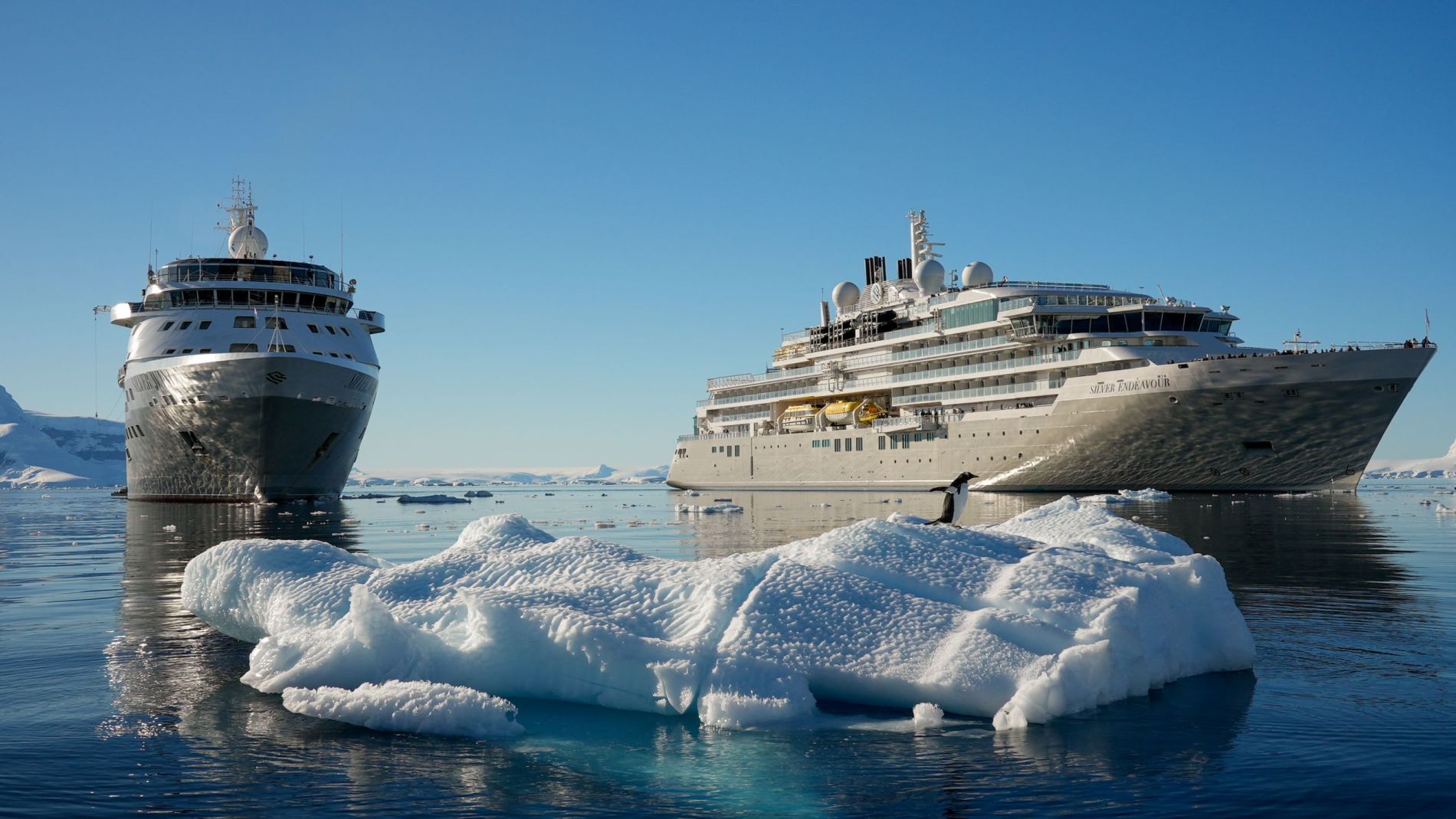 Zwei Silversea-Expeditionsschiffe vor Treibeis im blauen Meer unter klarem Himmel; eines heißt Silver Endeavour.