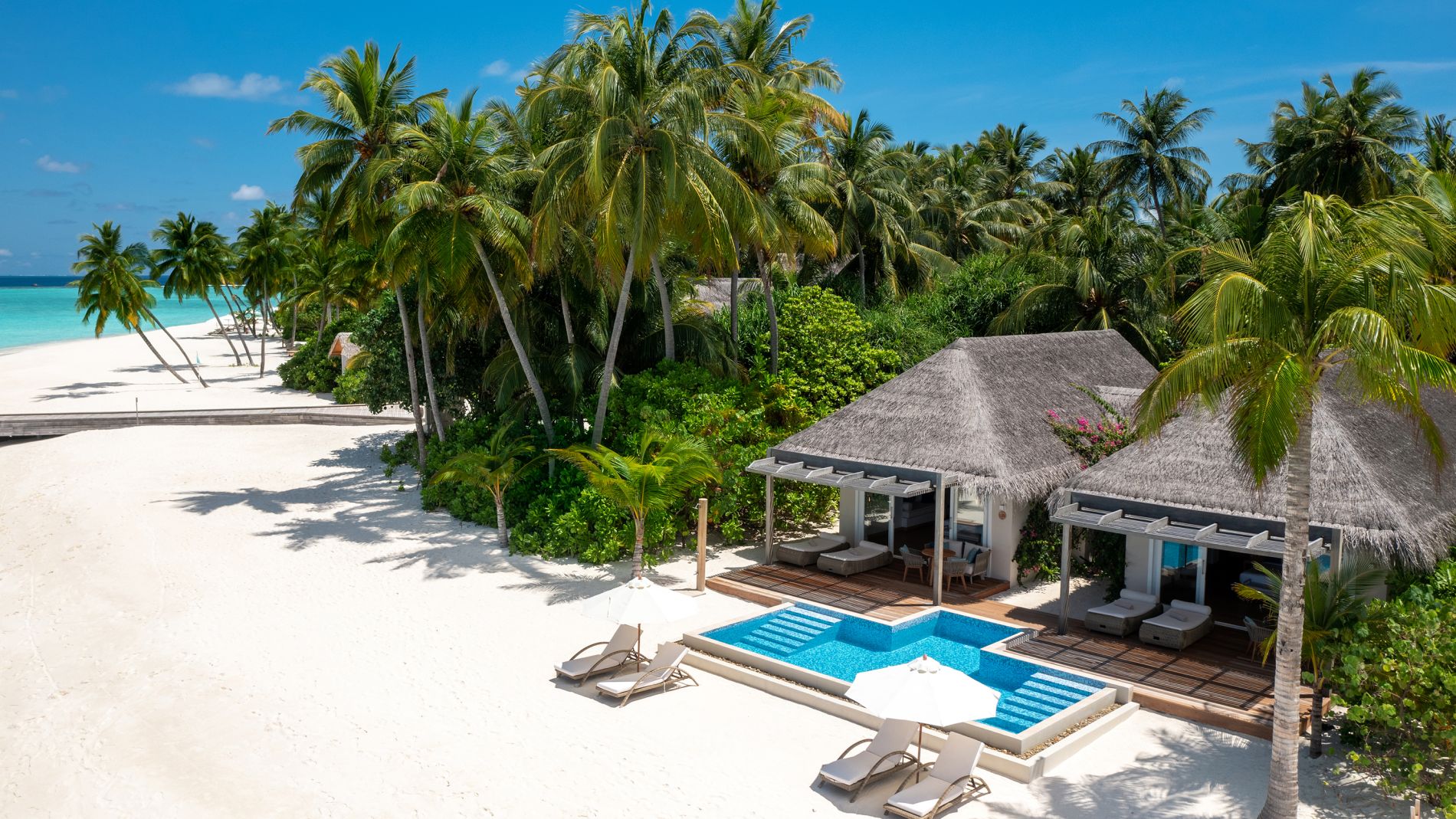 Luftbild eines Malediven-Strandes mit Palmen, weißem Sand, Strohdach-Villen, Holzdeck-Pool und Liegen vor dem Resort.