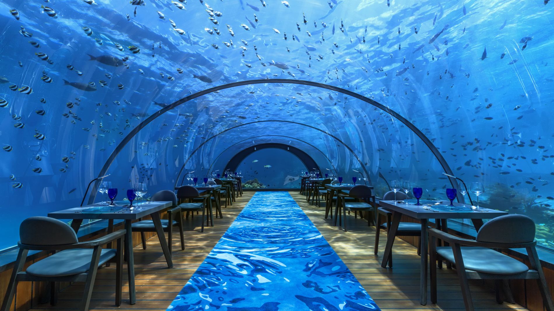 Unterwasserrestaurant mit langen Tischen, Stühlen und Fischen in einem blauen Ozean. Teppich in Wasseroptik.