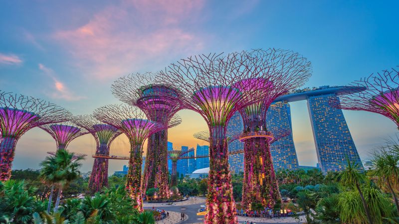 Bunte Supertrees im Gardens by the Bay, Singapore, mit Marina Bay Sands im Hintergrund bei Sonnenuntergang; Spazierweg. Bunte Supertrees im Gardens by the Bay, Singapore, mit Marina Bay Sands im Hintergrund bei Sonnenuntergang; Spazierweg.