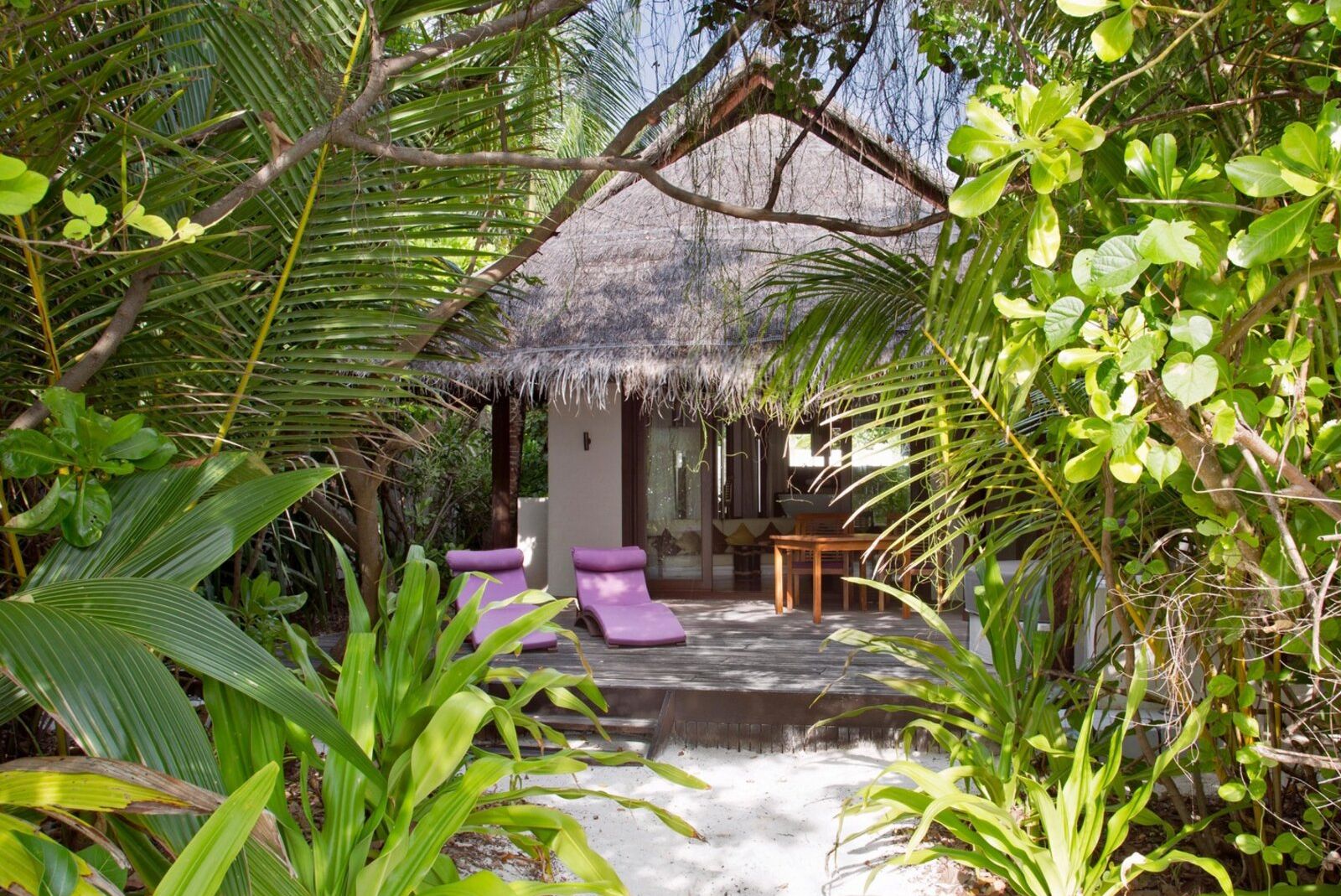 Eingang zu einem Bungalow umgeben von üppiger Vegetation und zwei lila Liegen auf einer Holzterrasse.