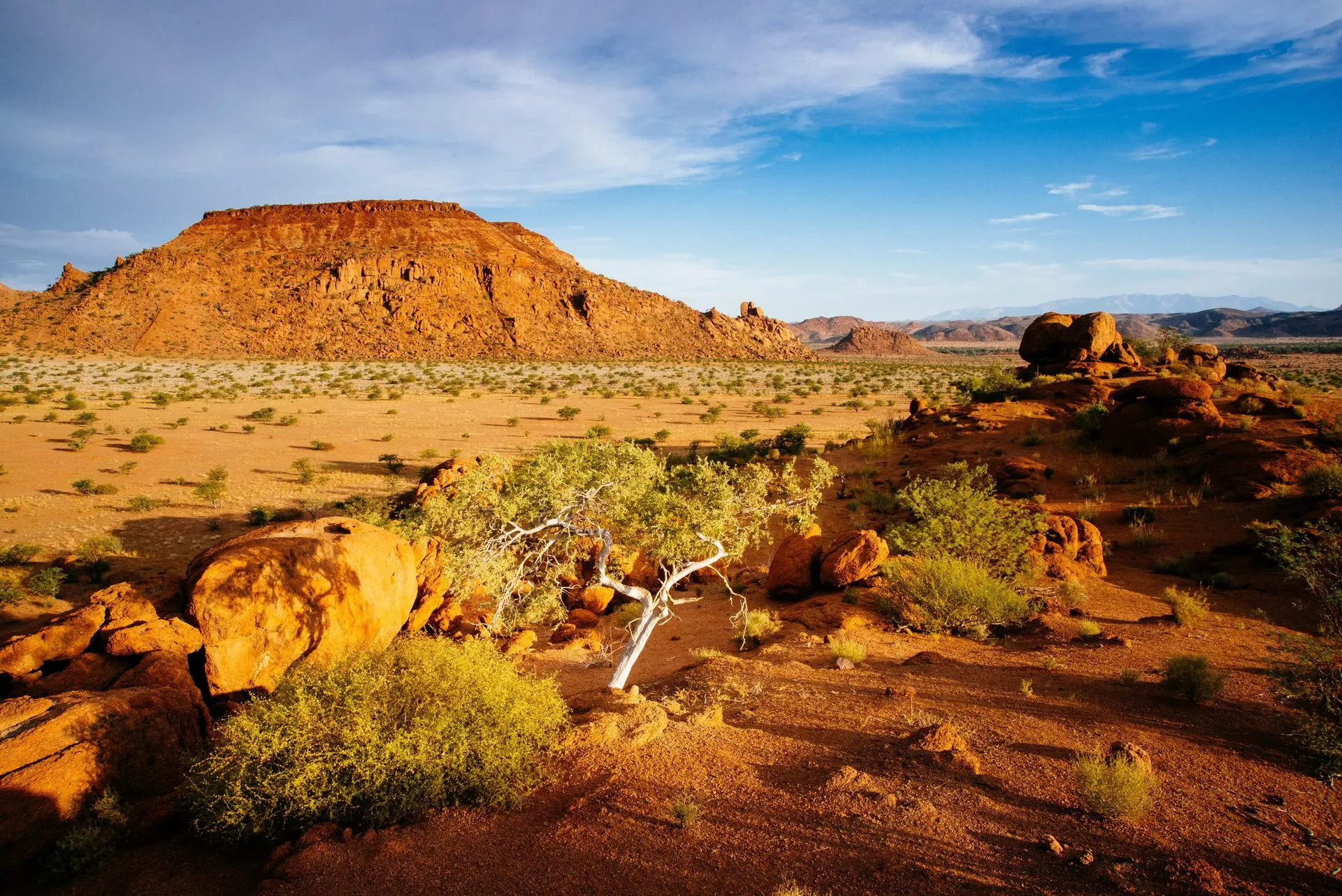 Landschaftsaufnahme von Damaraland in Namibia, mit einem Berg im Hintergrund und einem kleinen Baum in der Mitte, umgeben von trockener, sandiger Erde.