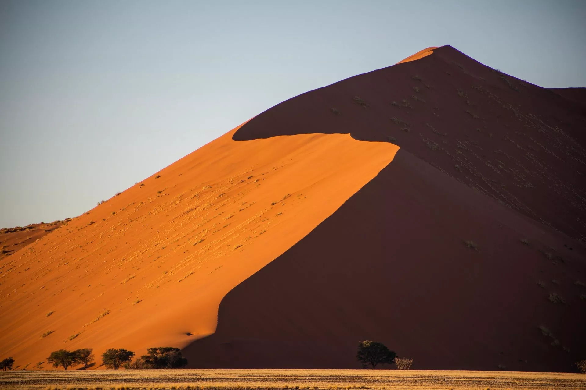 Eine große Sanddüne namens Big Daddy im Sossusvlei, umgeben von flachen Grasflächen und einem klaren Himmel im Namib-Naukluft National Park, Namibia.