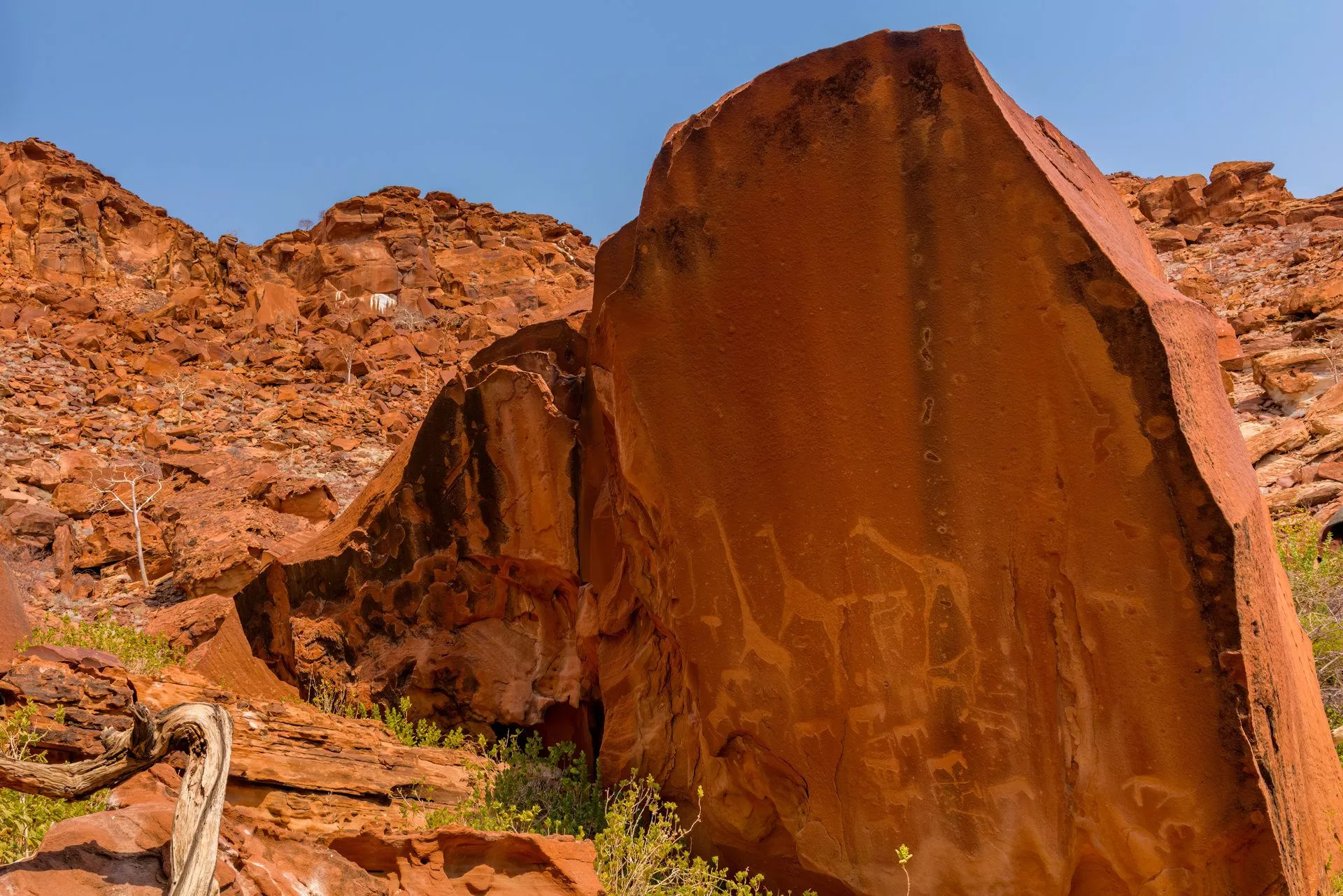 Steinmalereien auf roten Felsen im Damaraland, Twyfelfontein, Namibia, umgeben von wilder Natur.