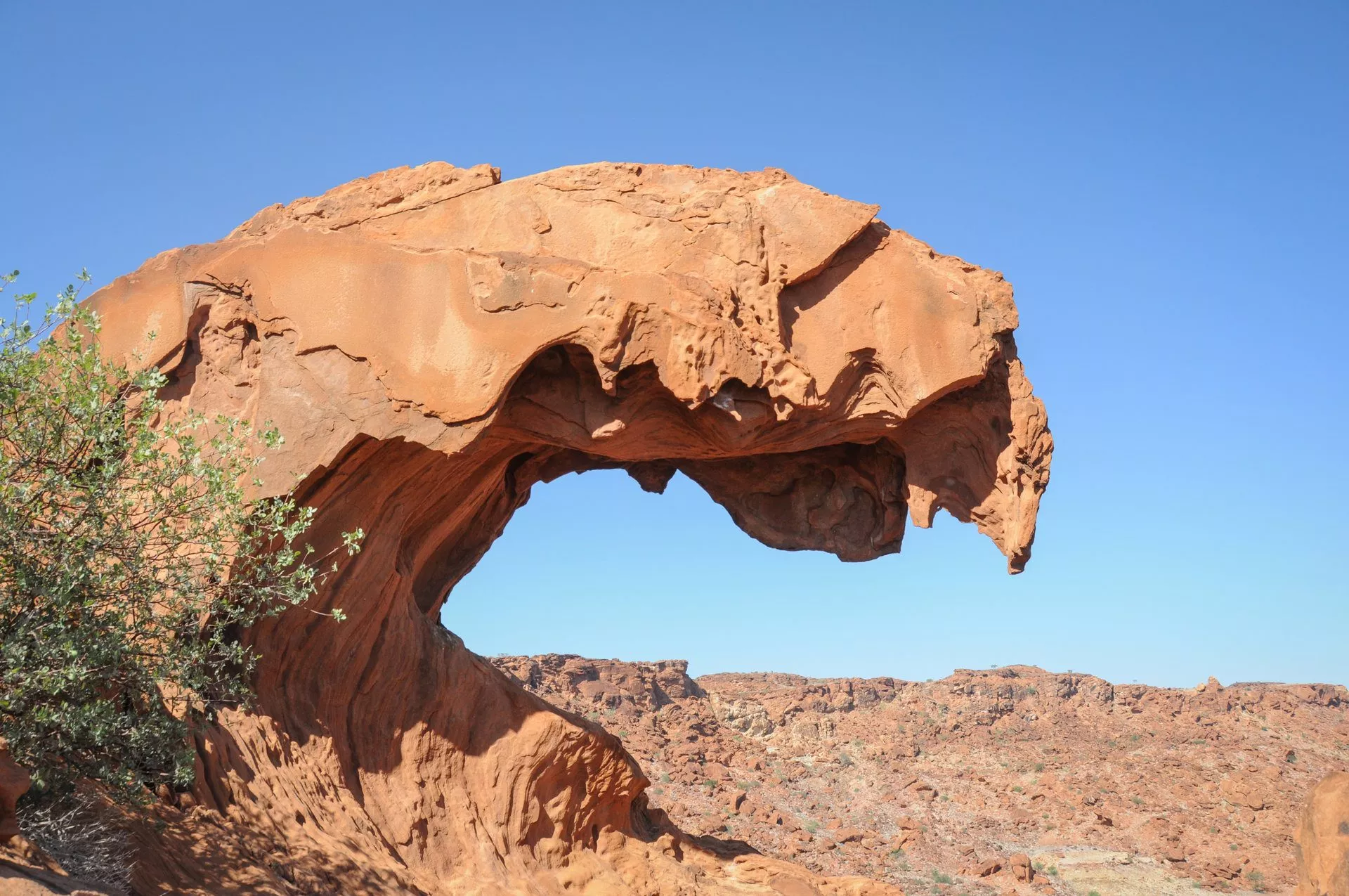 Ein überhängender Felsen in Form eines Löwenkopfes, umgeben von rotbraunem Wüsteneinschlag und klarem, blauem Himmel in Twyfelfontein, Namibia.