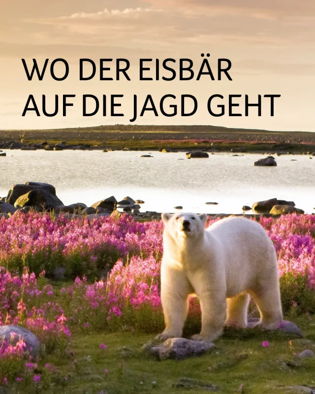 Airtours Instagram