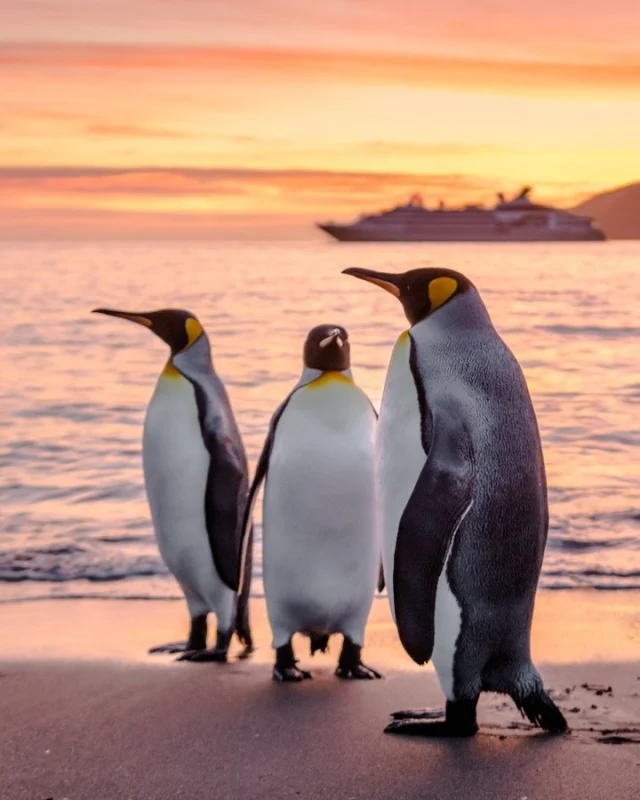 Airtours Instagram